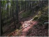 Tirosek (Nova Štifta) - Planina Travnik